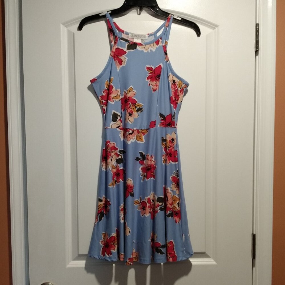 Floral Skater Dress